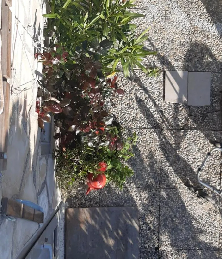 Cabanon Vue Mer Et Calanques Les Goudes Marseille Hébergement de vacances